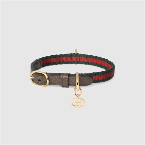 collar gucci hombre|Gucci collar for cats.